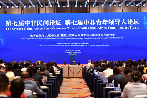乘風而上 向新而行 開啟中非現代化建設新征程